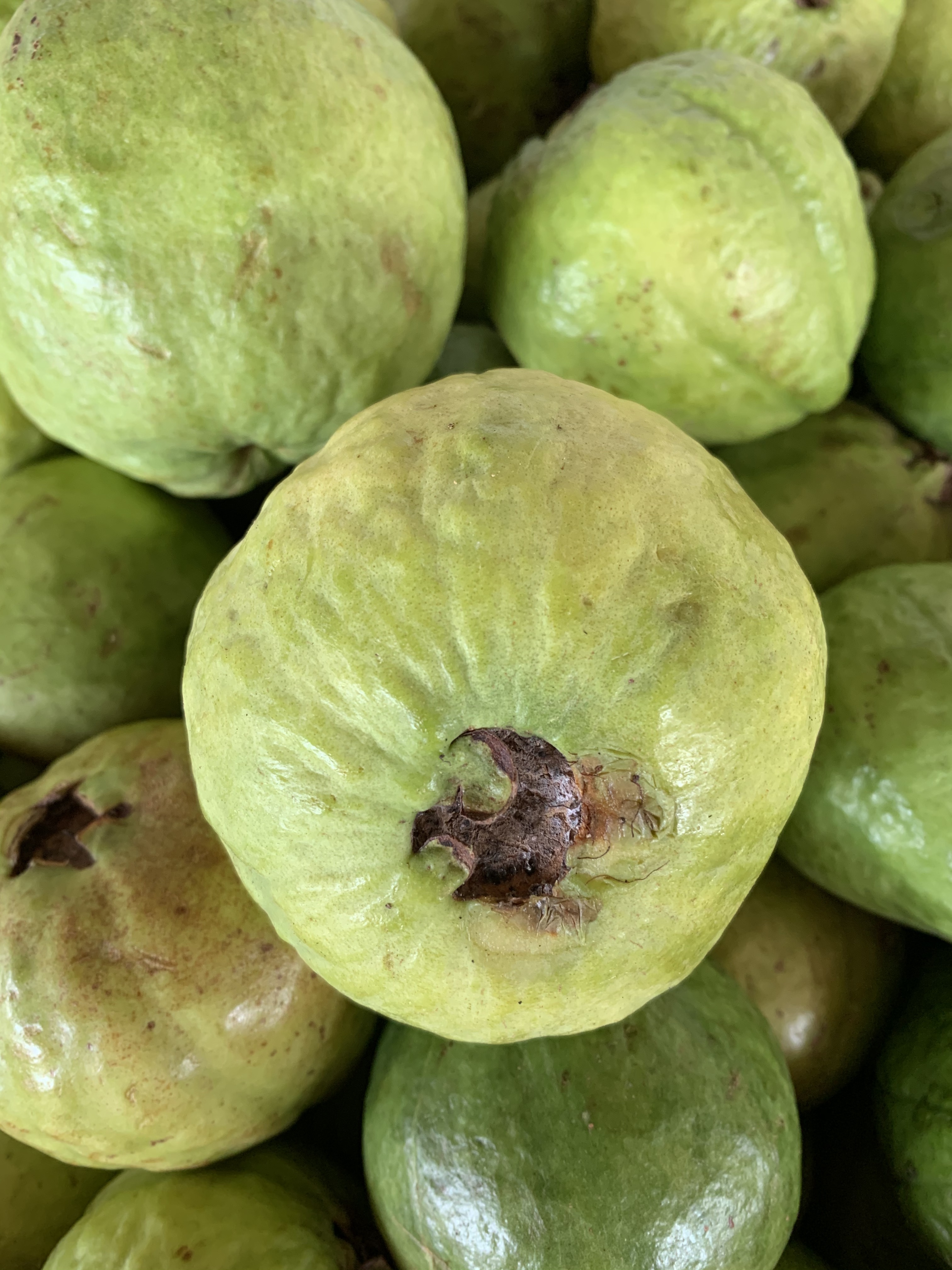 Passion Orange Guava