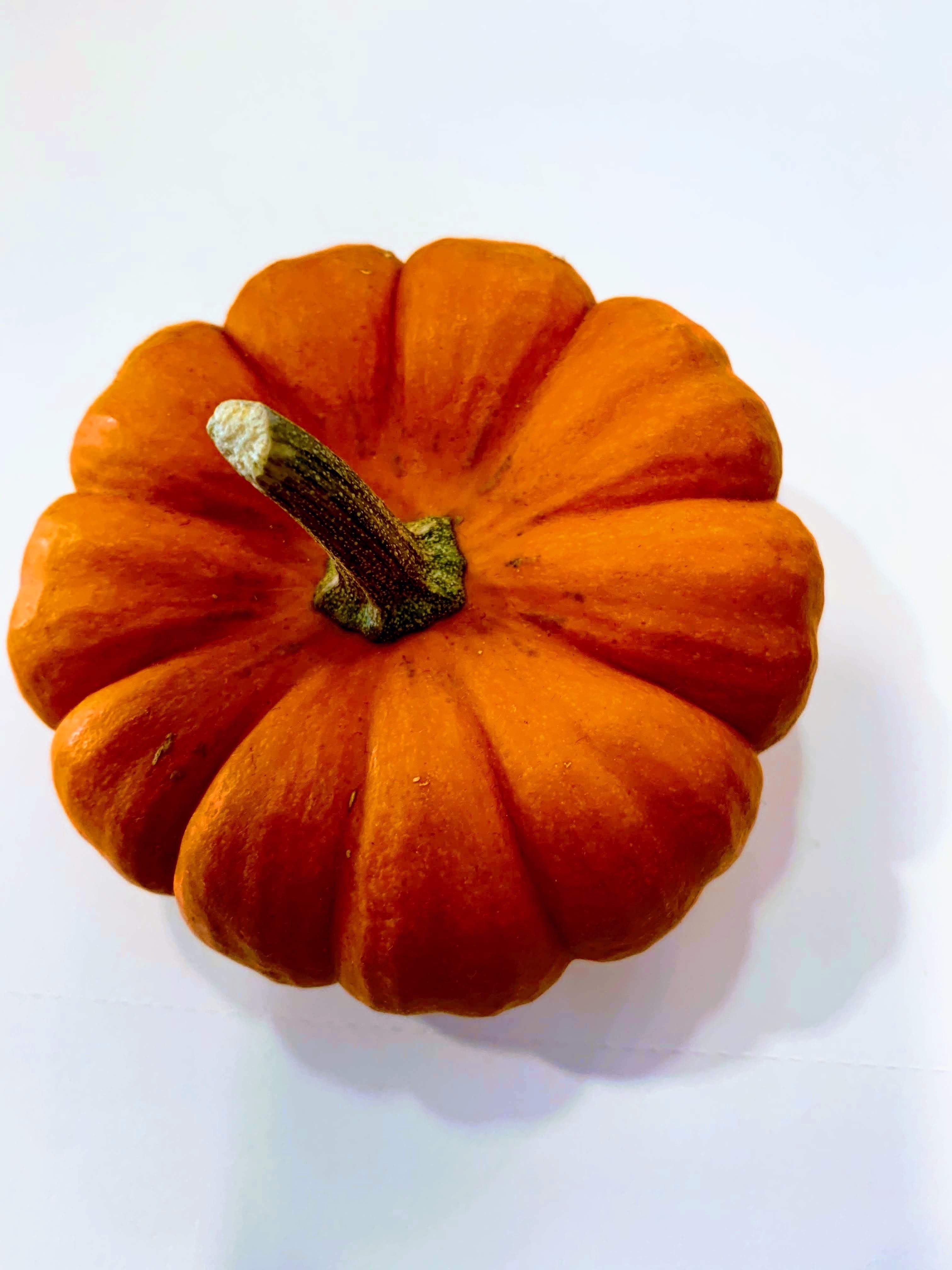 Pumpkin (Seasonal)