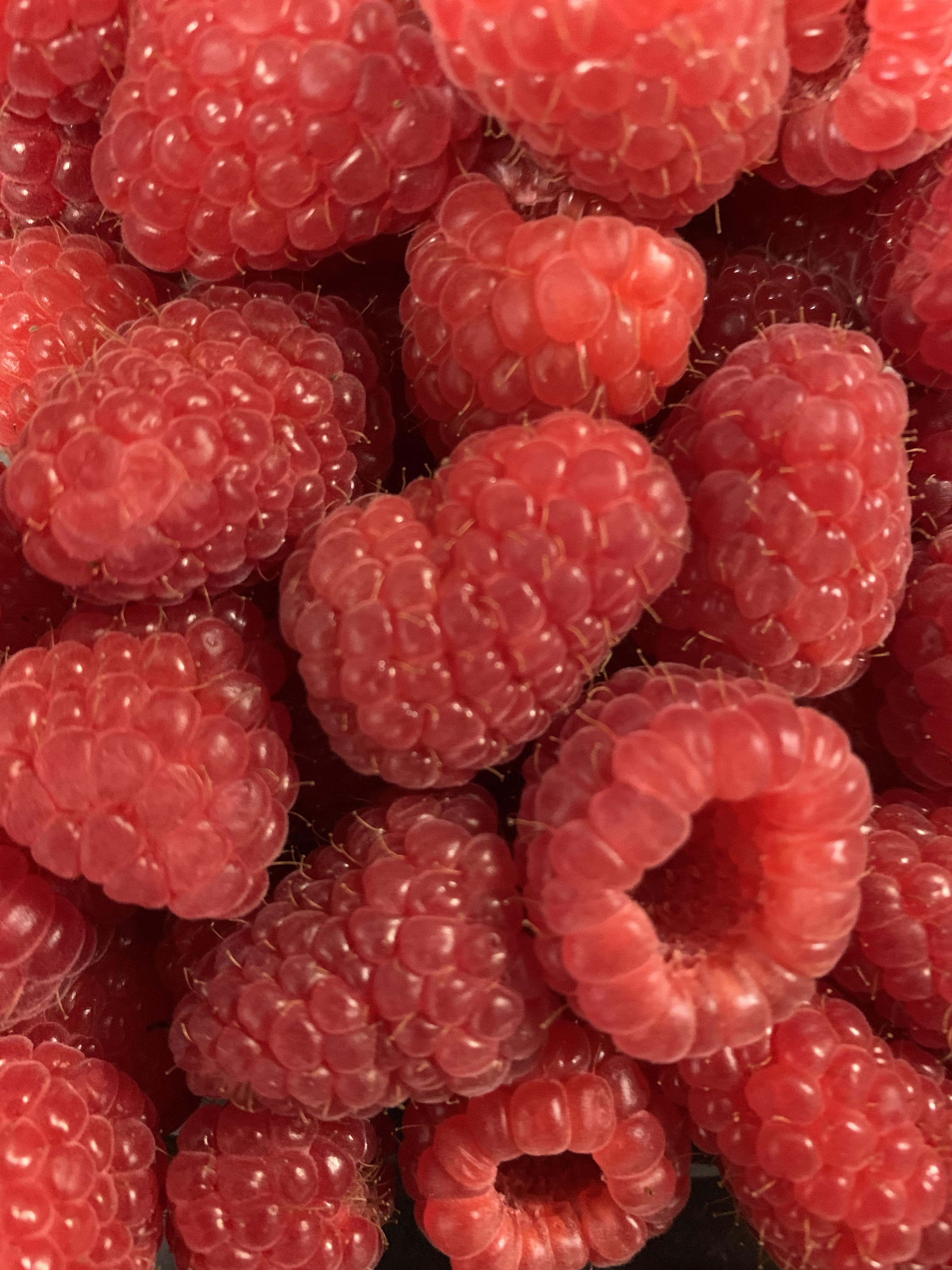 Raspberry