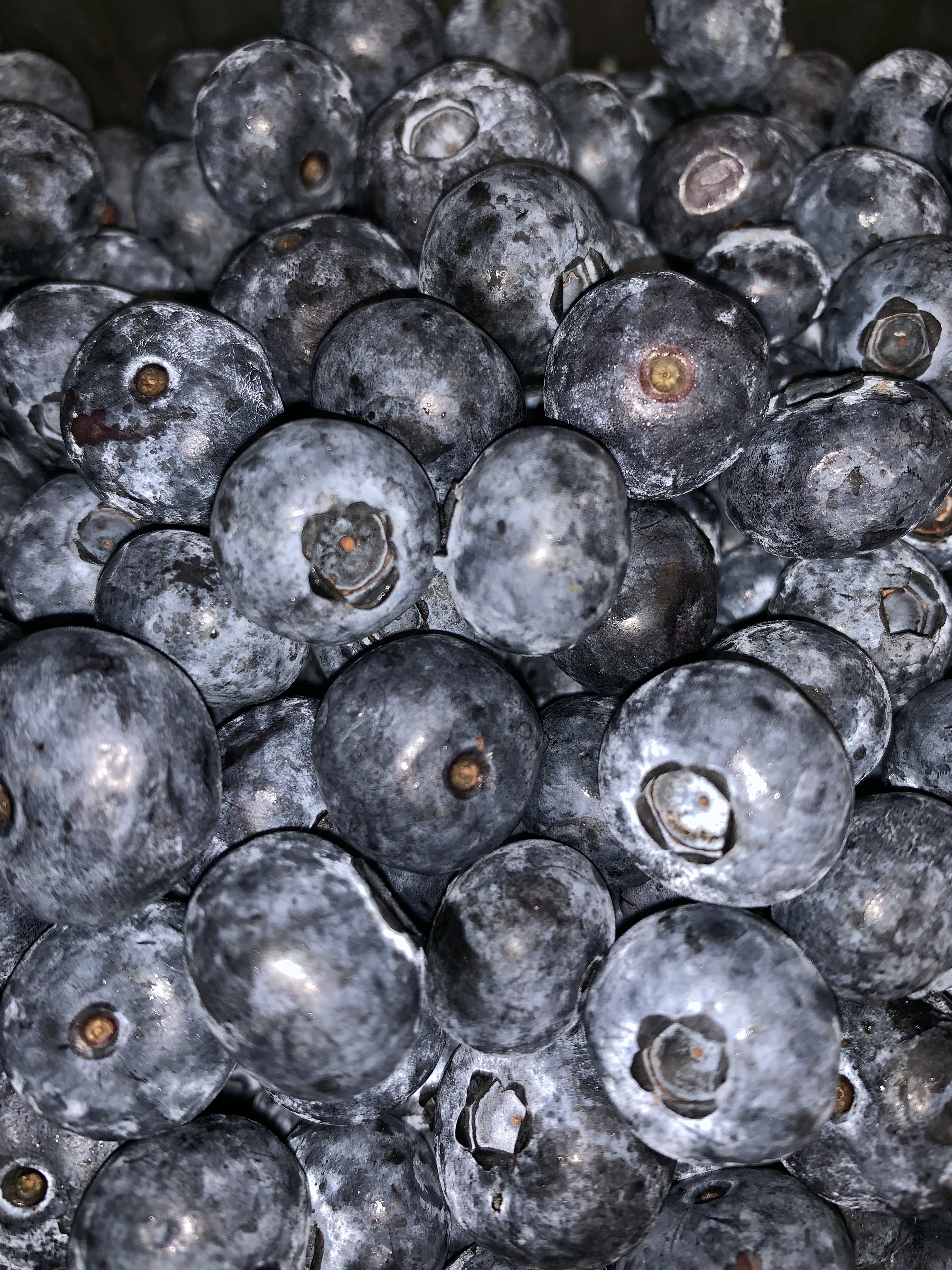 Blueberries